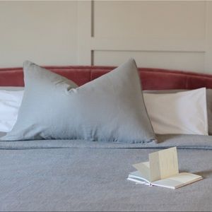 Peacock Alley large decorative pillow